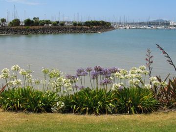 Photo IMG_0206