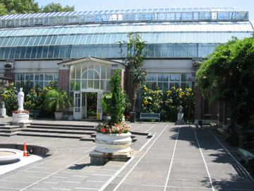 Aukland domain sklenik