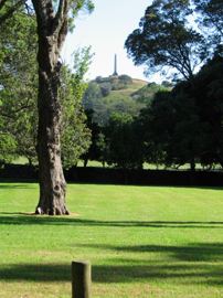 One tree hill
