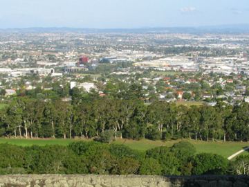 One tree hill auckland view