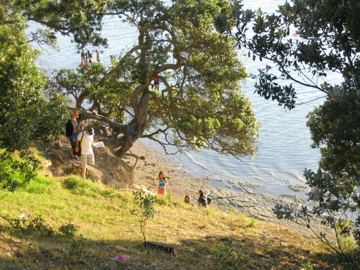Pt chevalier beach 7 30 pm