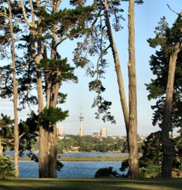 Pt chevalier coyle park