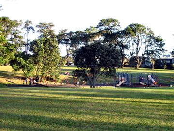 Pt chevalier coyle park
