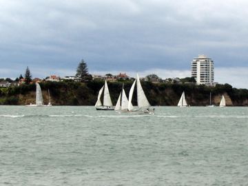 Waitemata harbour regatta