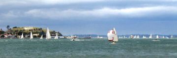 Waitemata harbour regatta