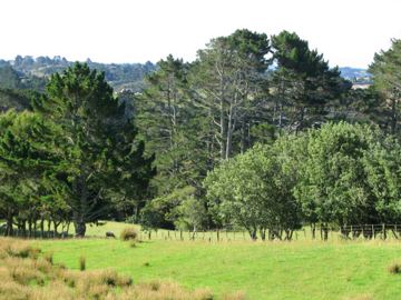 Henderson valley