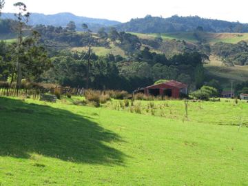 Henderson valley