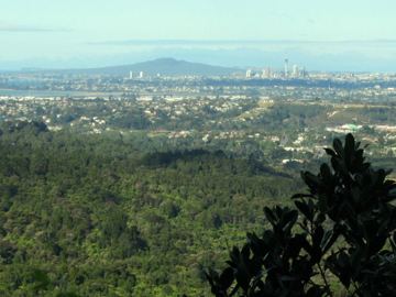 Henderson valley city view