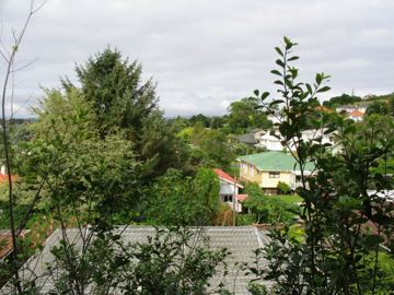 Mt albert suburb
