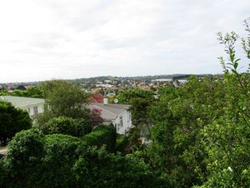 Mt albert suburb