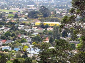 Mt albert pak n save