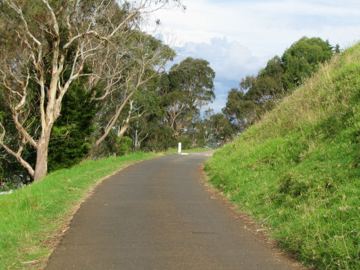 Mt albert
