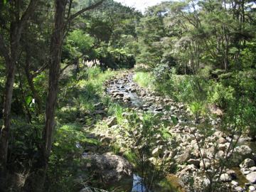 Waiomu