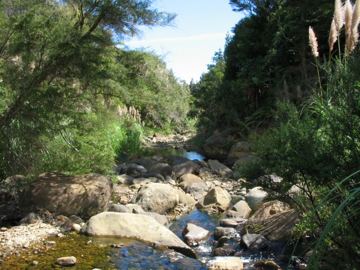 Waiomu