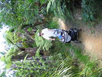 Waiomu