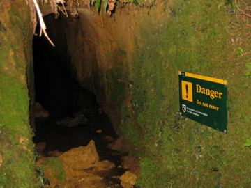 Waiomu mine