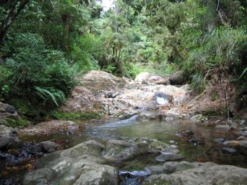 Waiomu
