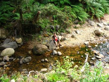 Waiomu cekani
