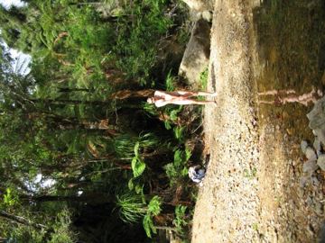 Waiomu koupani
