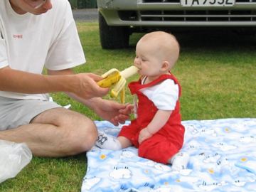 Waiomu piknik