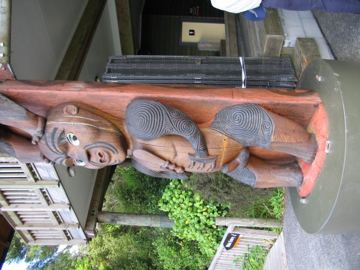 Arataki maor