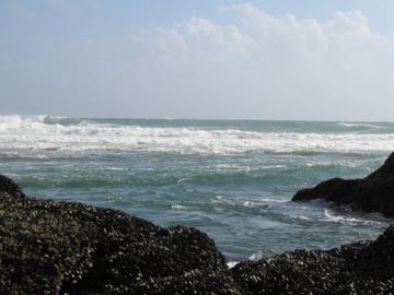 Piha vlny