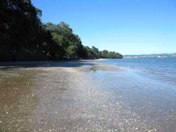Pt chev 10am