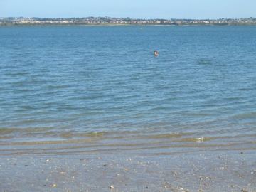 Pt chev 10am