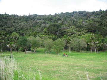 Wanderholm piknik kokoru bay