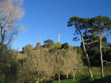 Onetree hill