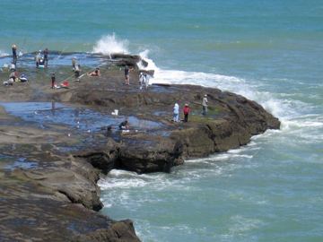 Muriwai fishermen