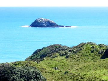 Muriwai oaia island