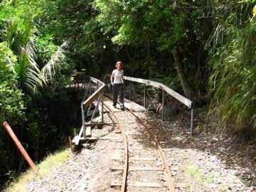 Waitakere jitka most