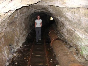 Waitakere tunel