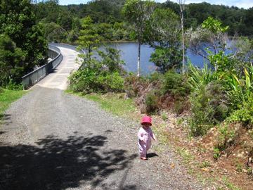 Waitakere prehrada sarka