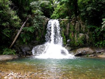 Waiau falls