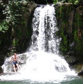 Waiau falls
