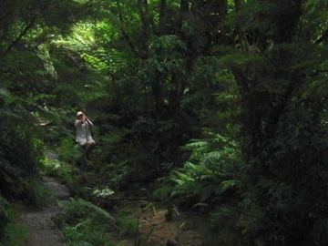 Michal tarzan