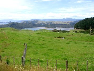 Coromandel