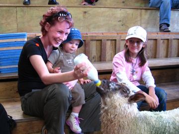 Sheepworld