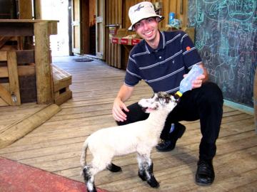 Sheepworld