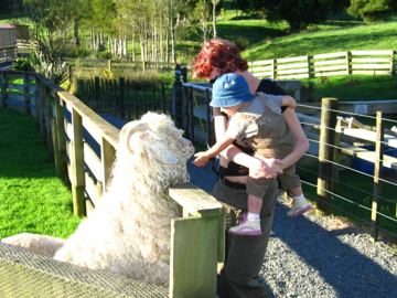 Sheepworld