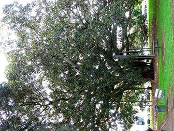 Photo IMG_3438