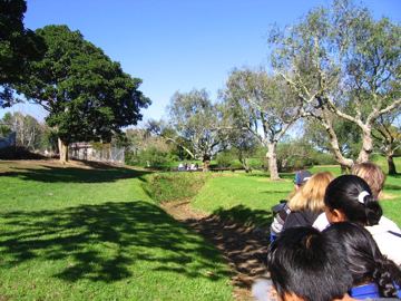 Photo IMG_3490