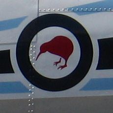 Whenuapai kiwi
