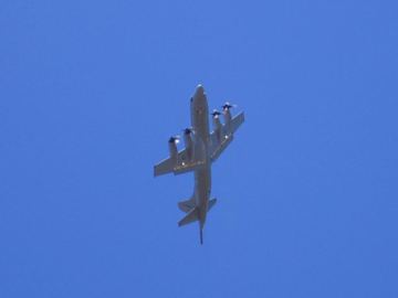 Whenuapai