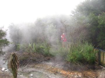 Kuirau park