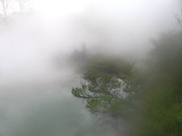 Kuirau park