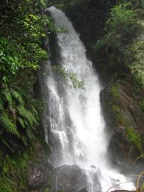 Te wairoa falls