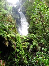 Te wairoa falls